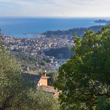 Vila Peaceful In